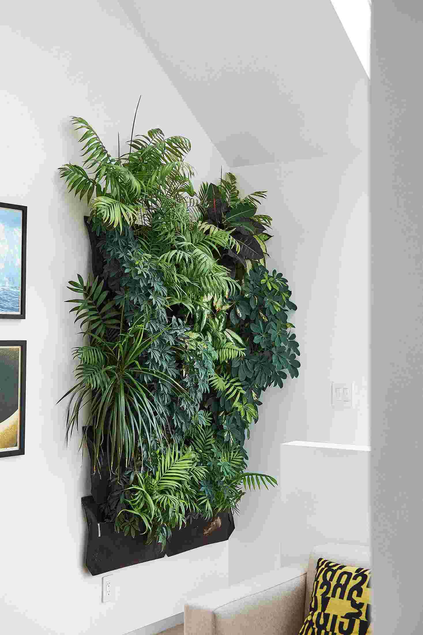 Lush indoor wall planter overflowing with green ferns.