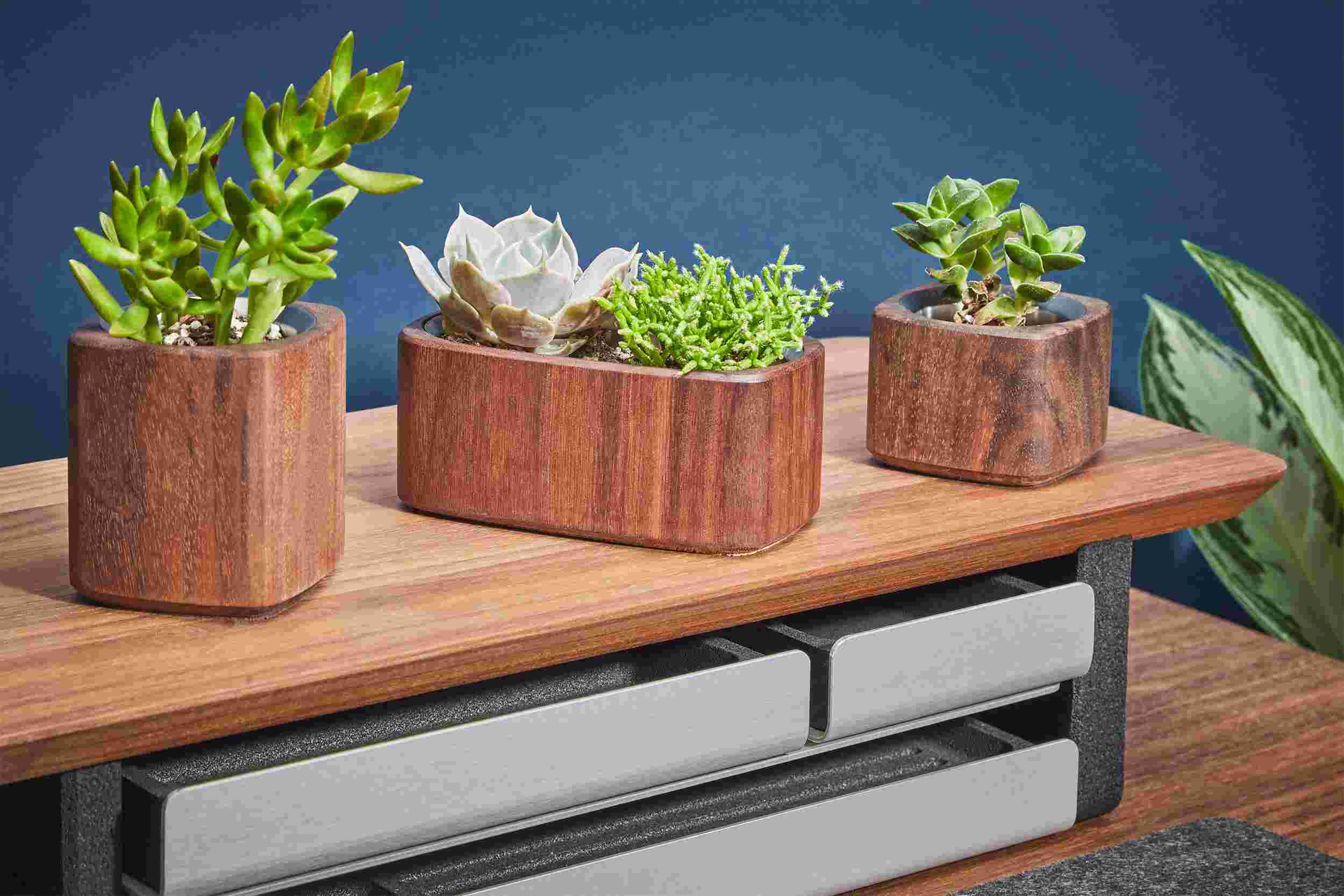 All three sizes of walnut planters.