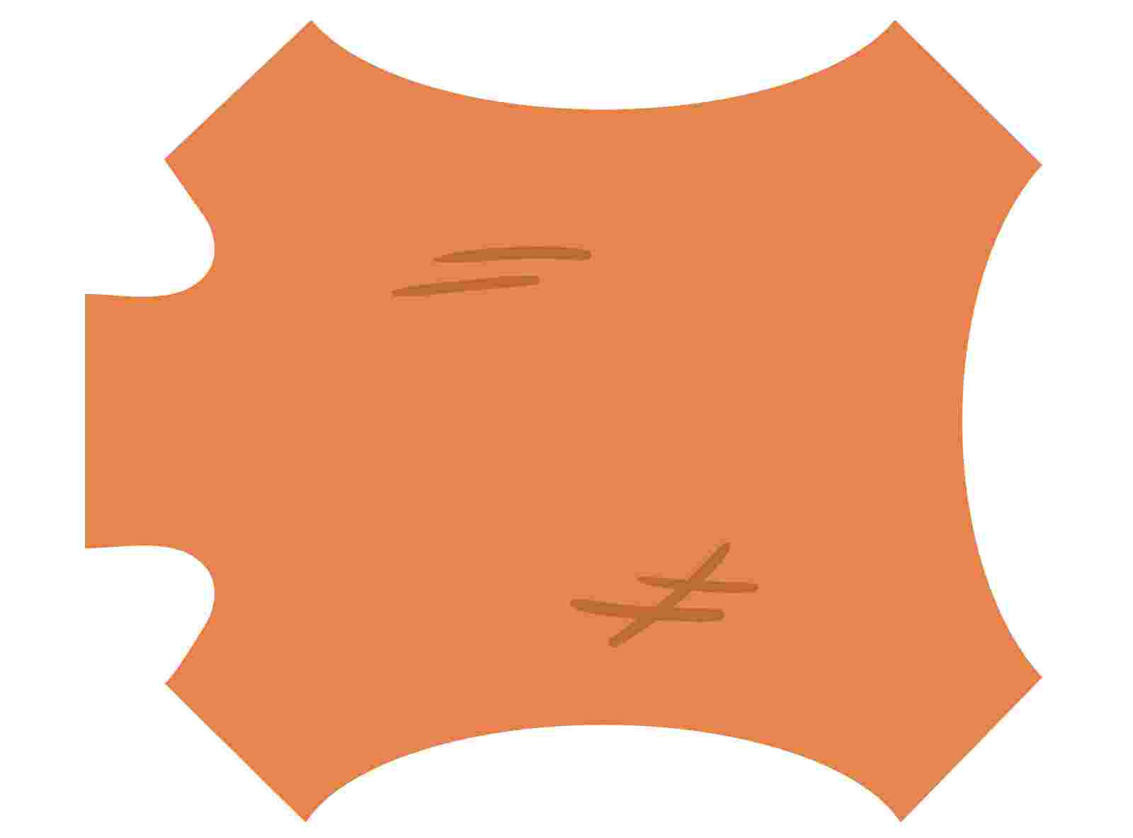 Infographic of simplified manufacturing process of wool felt: Fibers and compressed and steamed to produce a condensed felt slab.