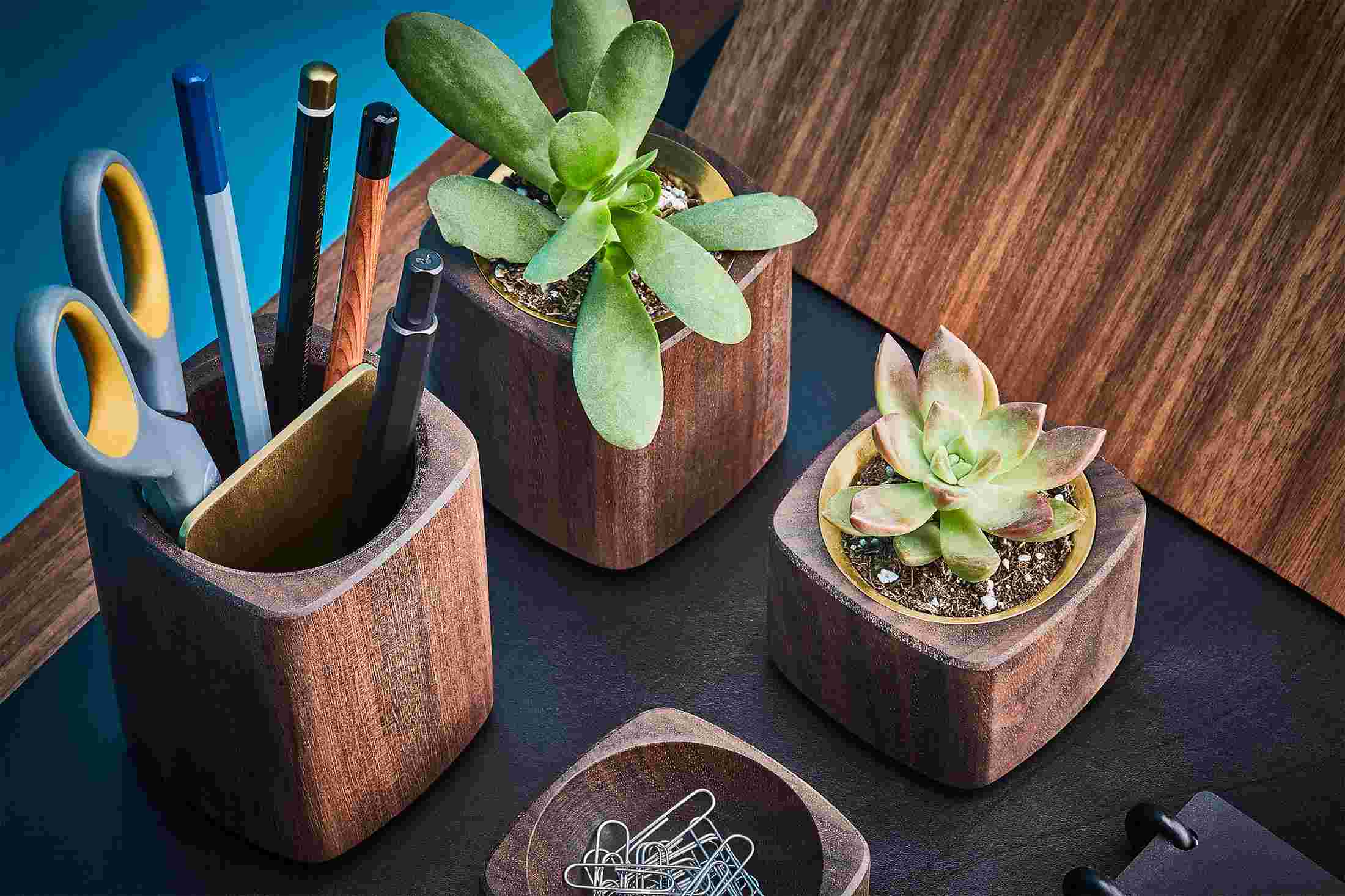 Detail of walnut and brass pen organizer and wooden planters.