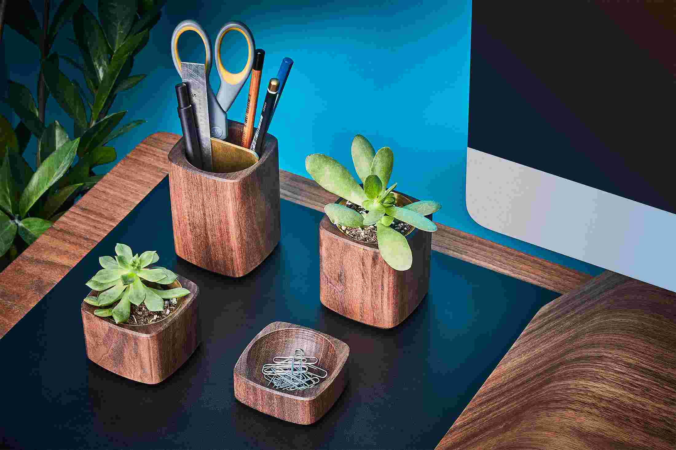 Walnut and brass pen cup, 2 inch succulent planters, and wooden dish, with bent wood monitor stand.