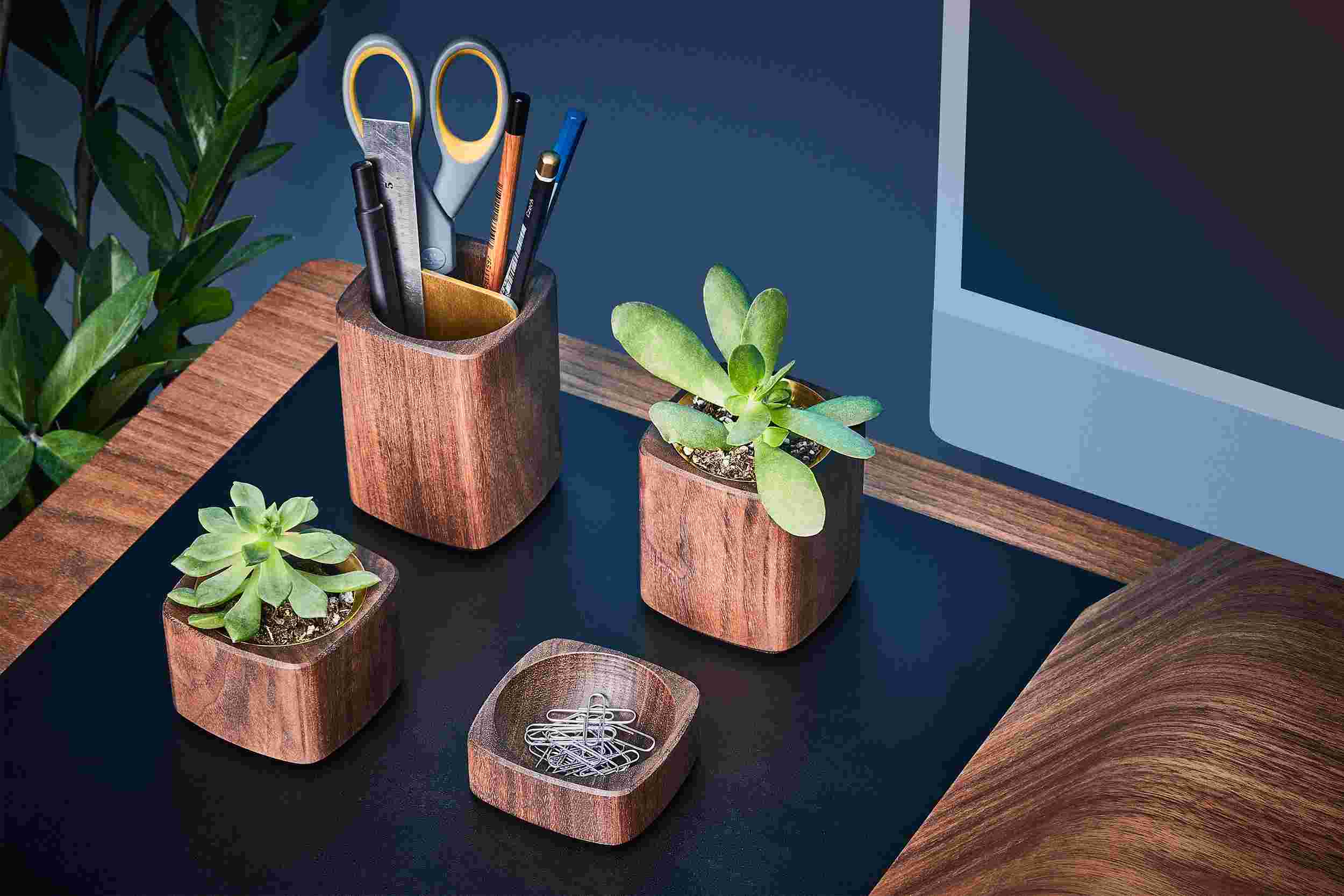 Walnut and brass pen cup, 2 inch succulent planters, and wooden dish, with bent wood monitor stand.