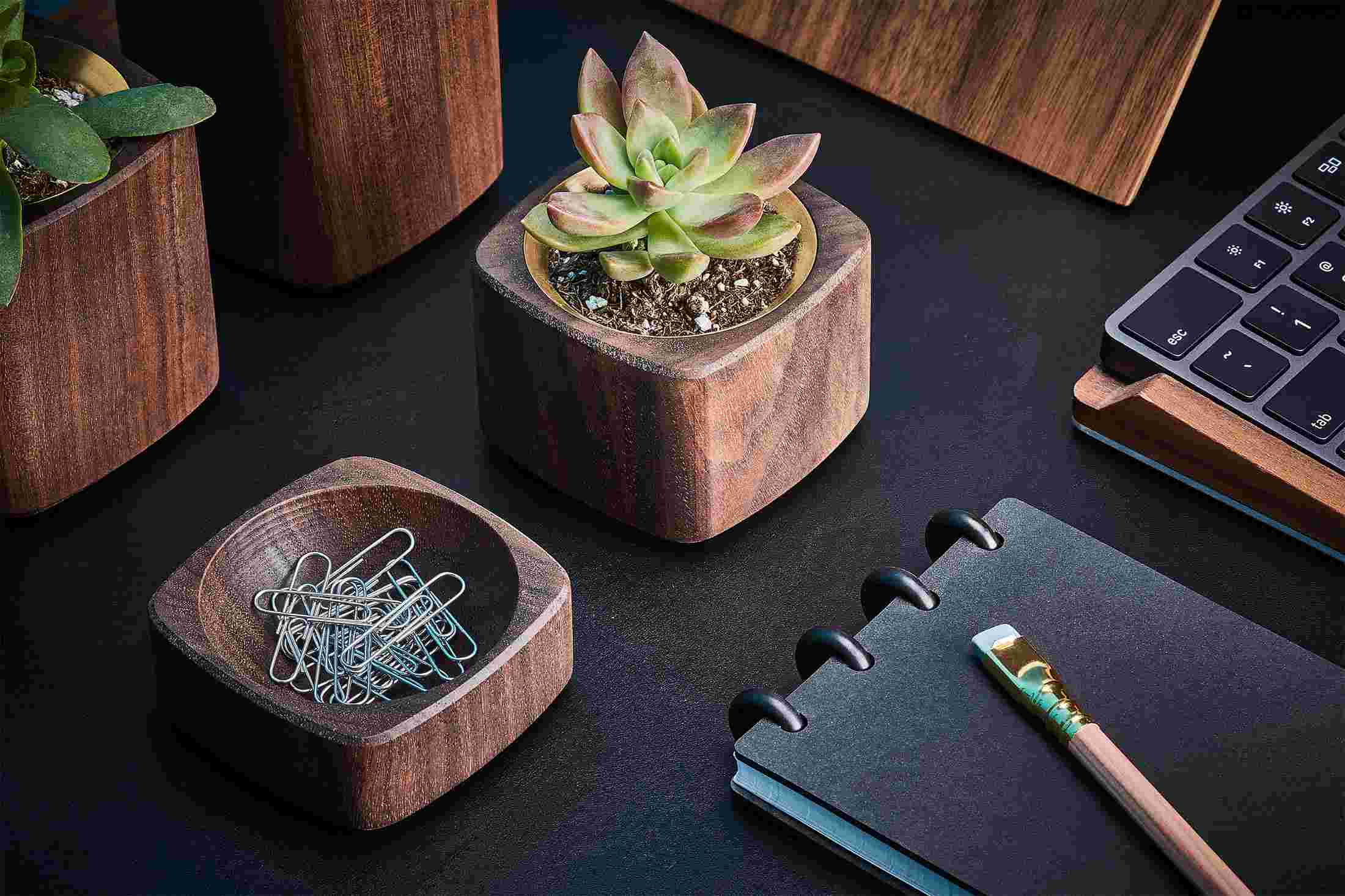 Walnut and brass succulent planter and matching paper clip dish.