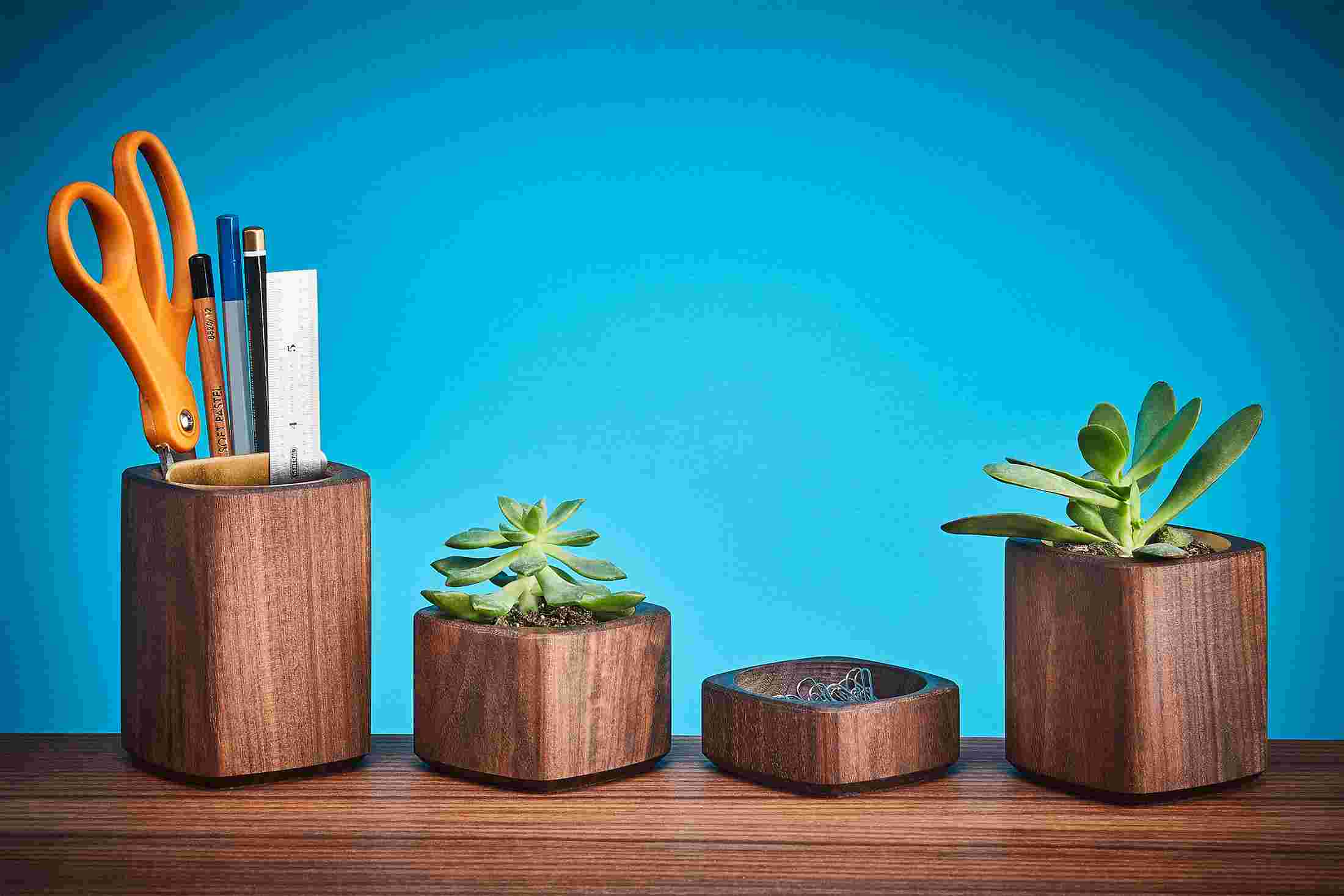 Walnut and brass desk accessories, including wood pen cup, miniature succulent planters, and paper clip holder.
