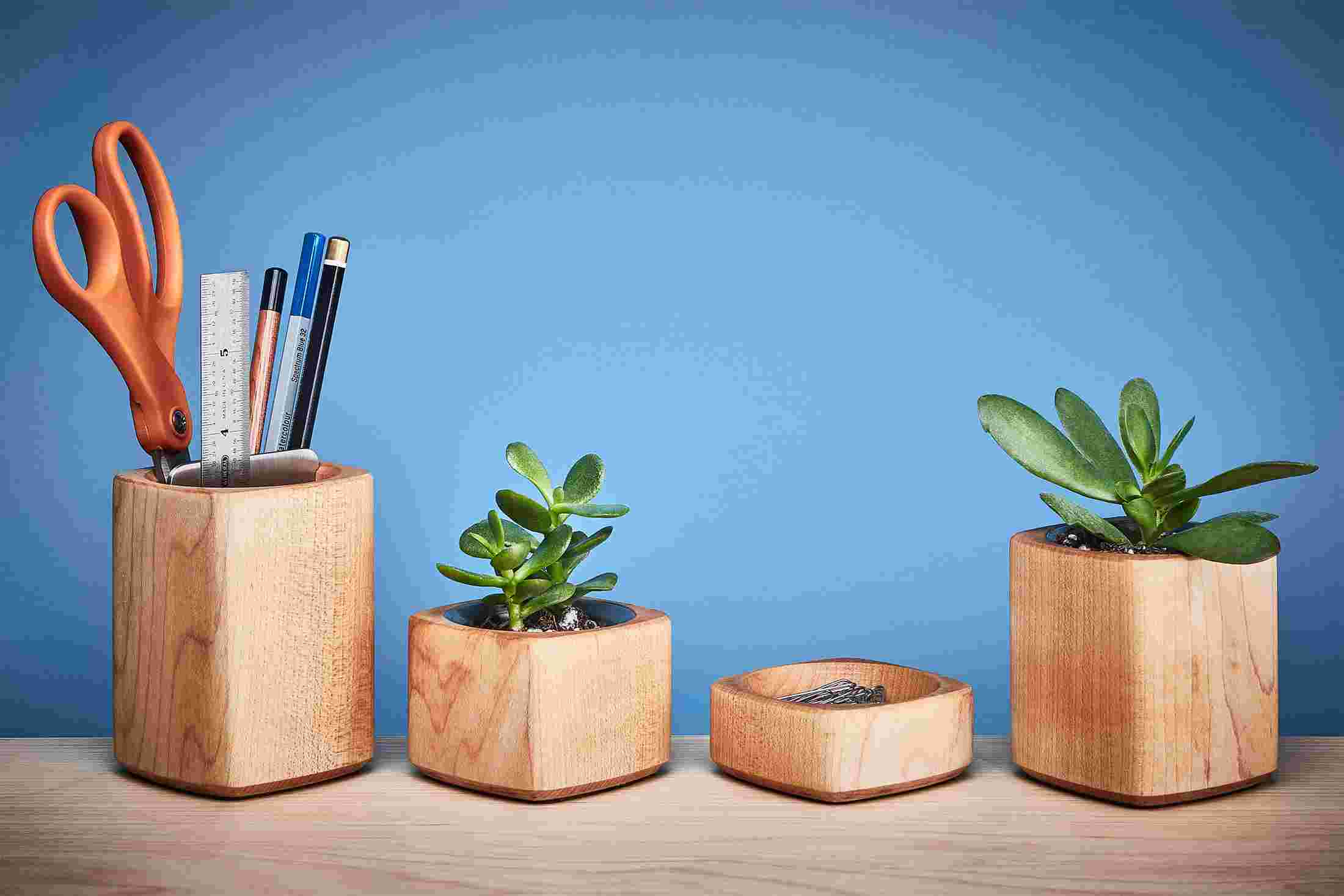 Maple desk accessories, including wood pen cup, miniature succulent planters, and paper clip holder.
