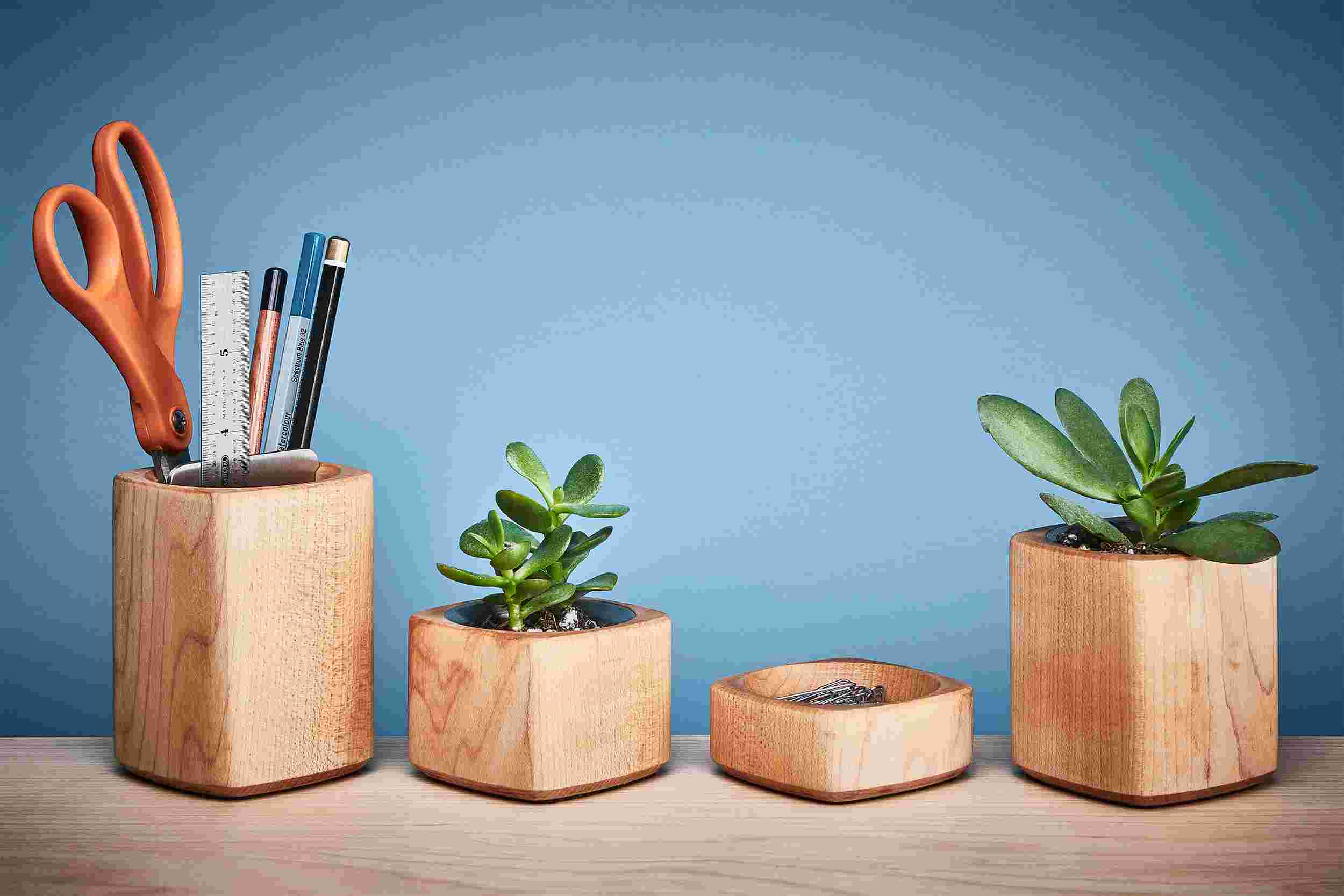 Maple desk accessories, including wood pen cup, miniature succulent planters, and paper clip holder.