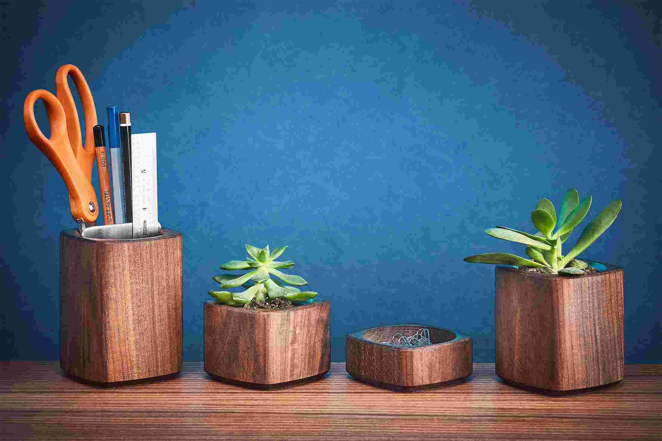 Walnut desk accessories, including wood pen cup, miniature succulent planters, and paper clip holder.