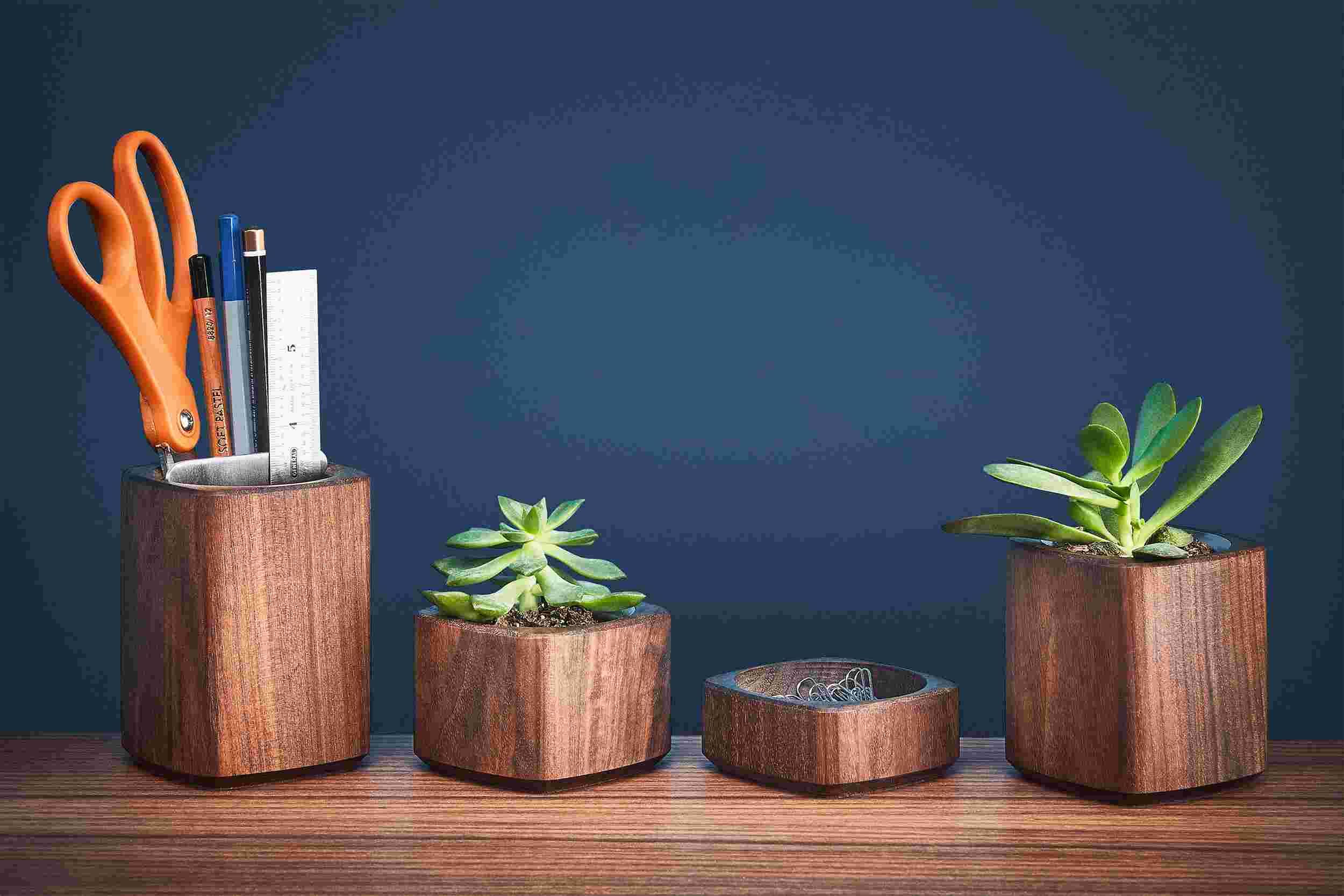 Walnut desk accessories, including wood pen cup, miniature succulent planters, and paper clip holder.