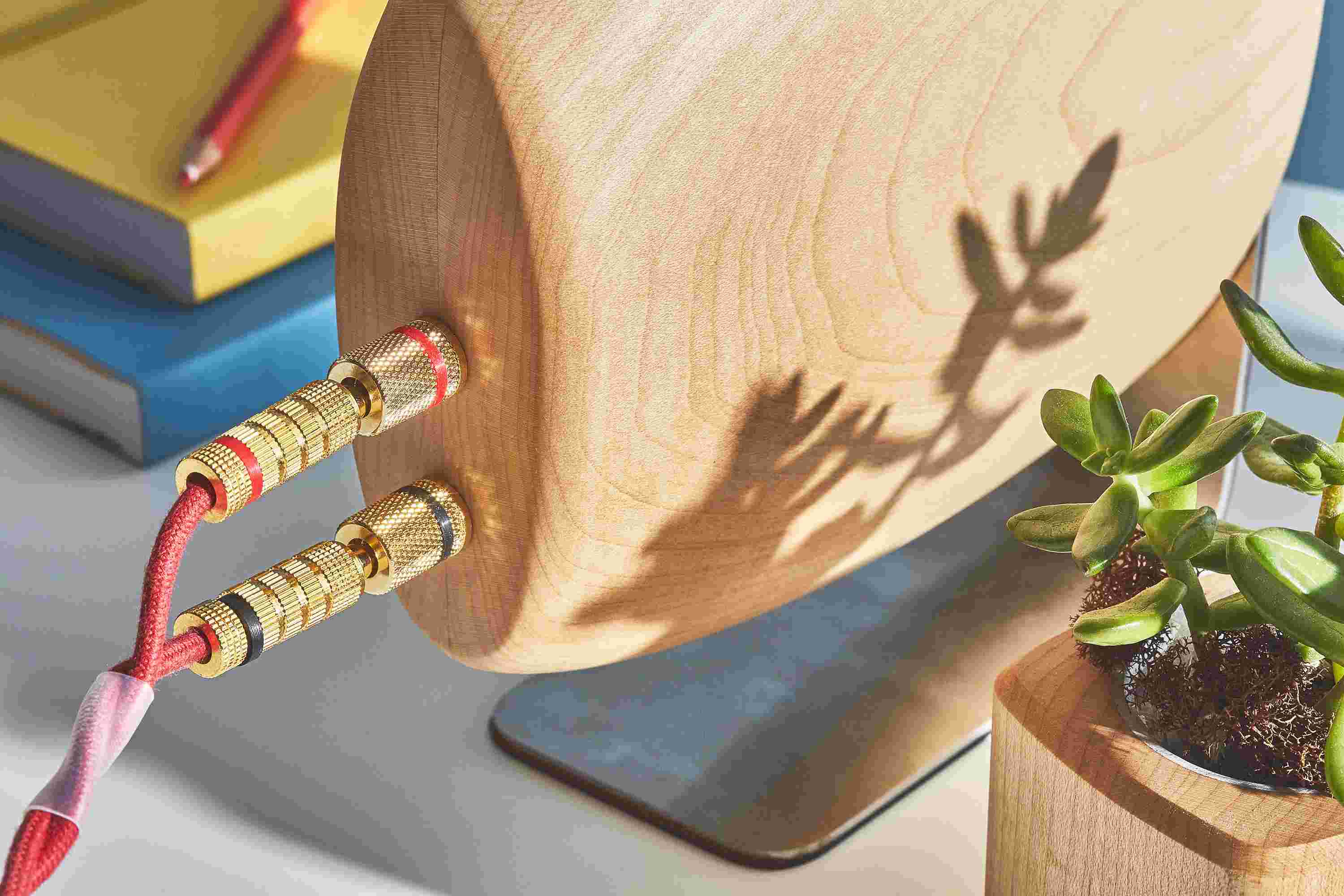 Rear detail of the brass banana connectors on the wooden maple speaker system.