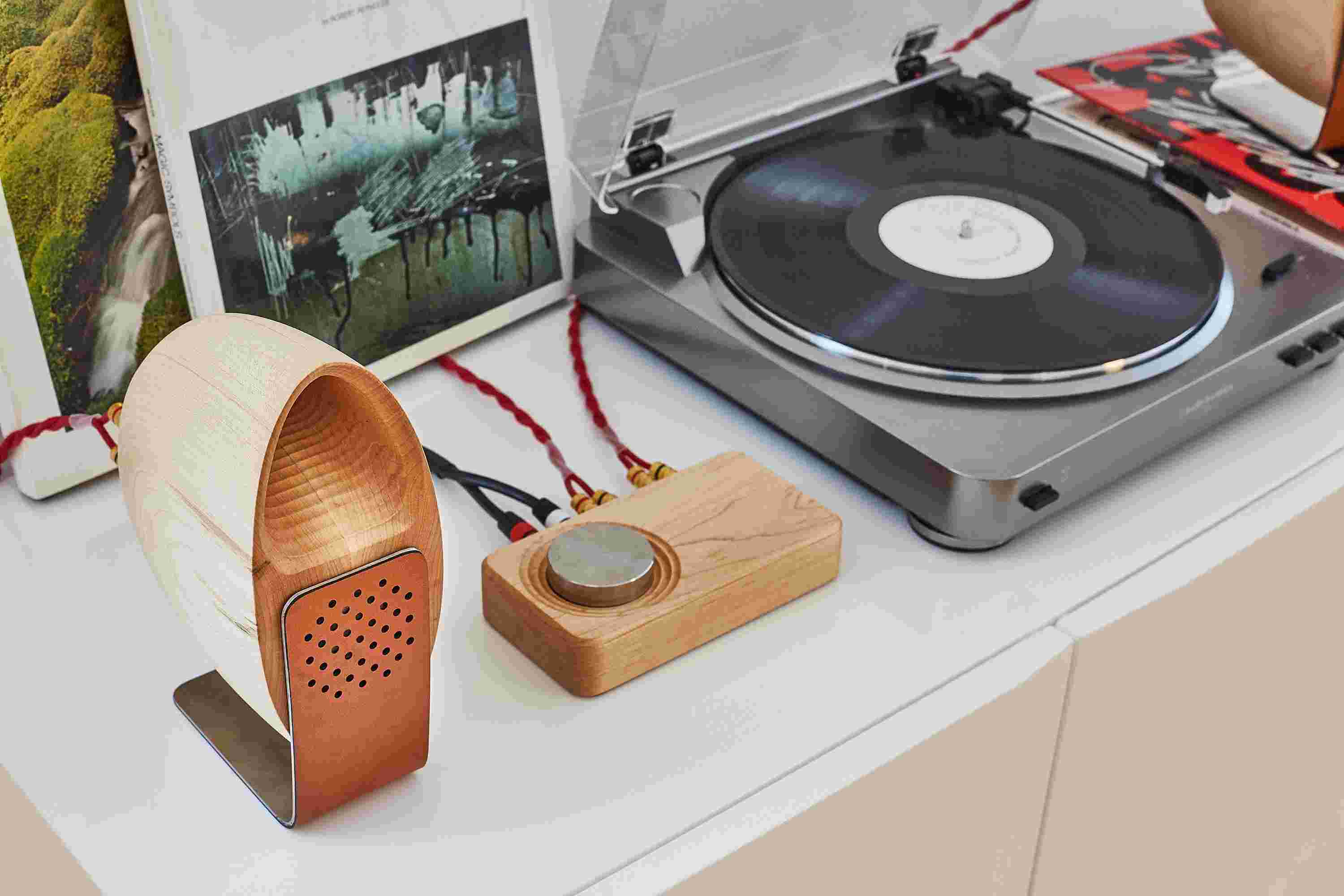 Rear detail of the brass banana connectors on the wooden maple speaker system.