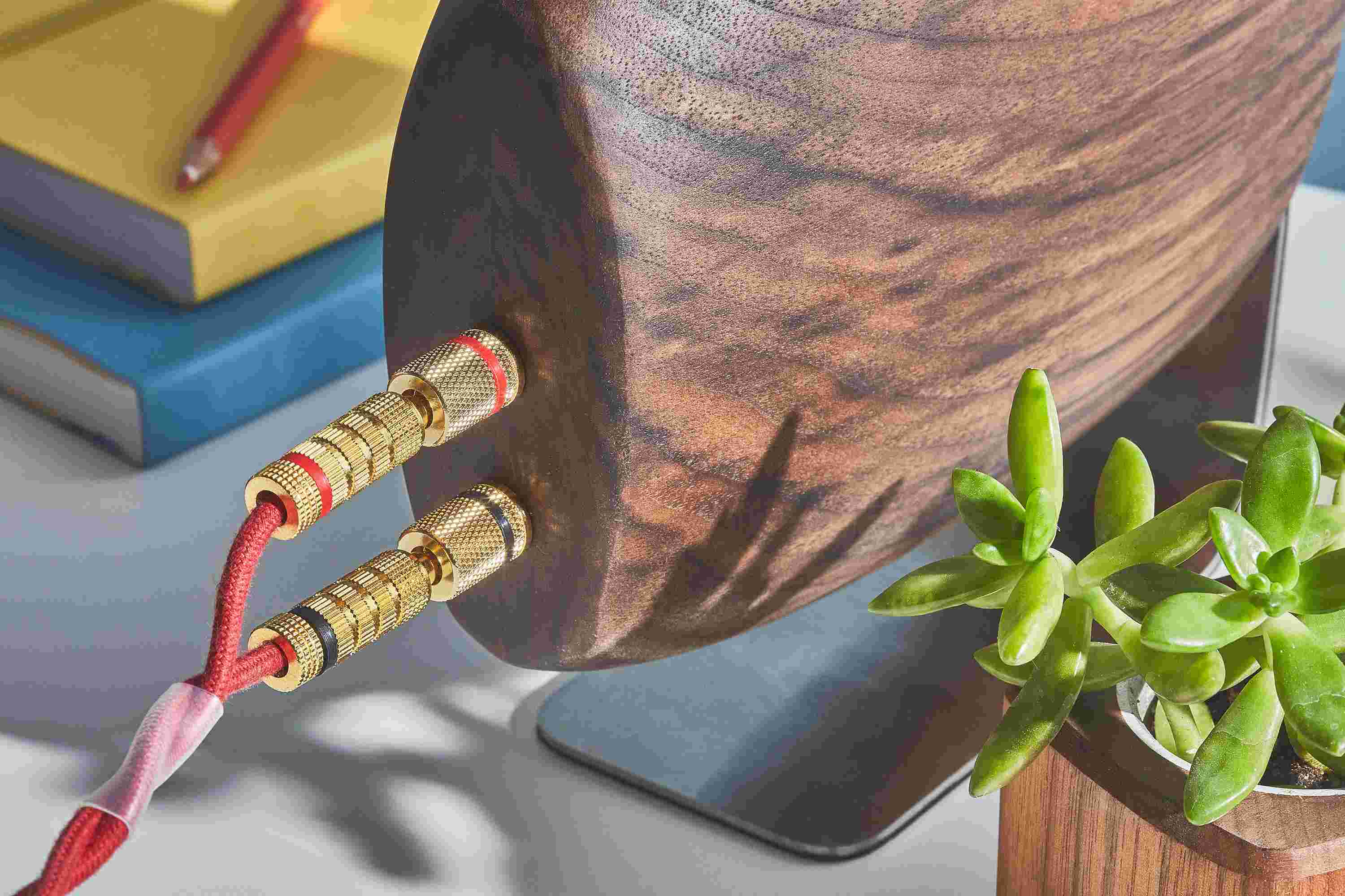 Rear detail of the brass banana connectors on the wooden walnut speaker system.